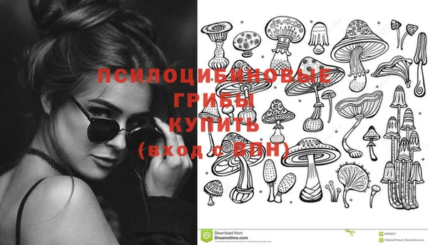первитин Беломорск