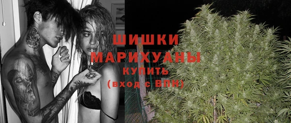 МДПВ Белокуриха