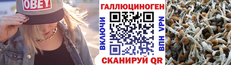 kraken зеркало Берёзовка Псилоцибиновые грибы ЛСД